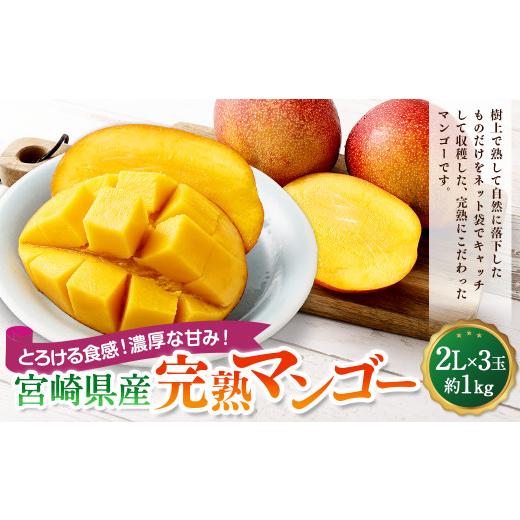 ふるさと納税 マンゴー 宮崎県 高鍋町  宮崎県産生まれ育つマンゴー 2L×3玉（約1kg） 2026年4月中旬〜7月下旬までに順次さし出し