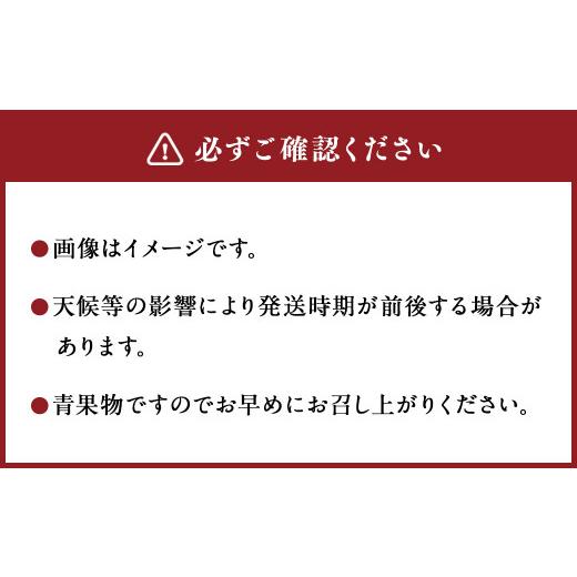 ふるさと納税 マンゴー 宮崎県 高鍋町  宮崎県産生まれ育つマンゴー 2L×3玉（約1kg） 2026年4月中旬〜7月下旬までに順次さし出し