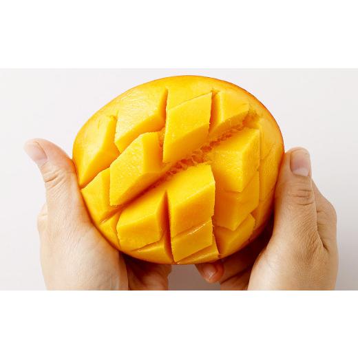 ふるさと納税 マンゴー 宮崎県 高鍋町  宮崎県産生まれ育つマンゴー 2L×3玉（約1kg） 2026年4月中旬〜7月下旬までに順次さし出し