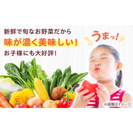 ふるさと納税 セット・詰合せ 大阪府 高槻市  2月発送 厳選 旬を味わう高槻野菜おまかせ詰め合わせセット 2月（10種〜15種）　大阪府高槻市／高槻あぐり AOCS0…_2