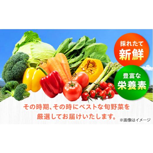 ふるさと納税 セット・詰合せ 大阪府 高槻市  2月発送 厳選 旬を味わう高槻野菜おまかせ詰め合わせセット 2月（10種〜15種）　大阪府高槻市／高槻あぐり AOCS0…_3