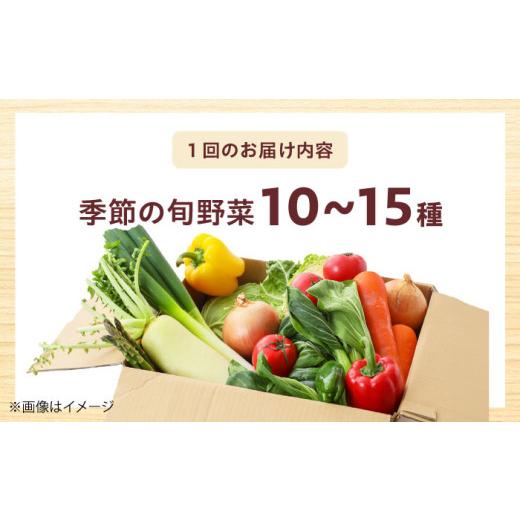 ふるさと納税 セット・詰合せ 大阪府 高槻市  2月発送 厳選 旬を味わう高槻野菜おまかせ詰め合わせセット 2月（10種〜15種）　大阪府高槻市／高槻あぐり AOCS0…_6