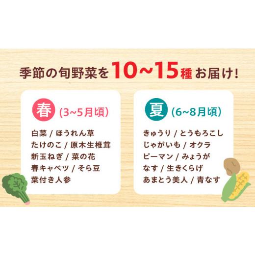 ふるさと納税 セット・詰合せ 大阪府 高槻市  2月発送 厳選 旬を味わう高槻野菜おまかせ詰め合わせセット 2月（10種〜15種）　大阪府高槻市／高槻あぐり AOCS0…_7
