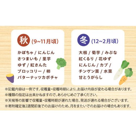 ふるさと納税 セット・詰合せ 大阪府 高槻市  2月発送 厳選 旬を味わう高槻野菜おまかせ詰め合わせセット 2月（10種〜15種）　大阪府高槻市／高槻あぐり AOCS0…_8