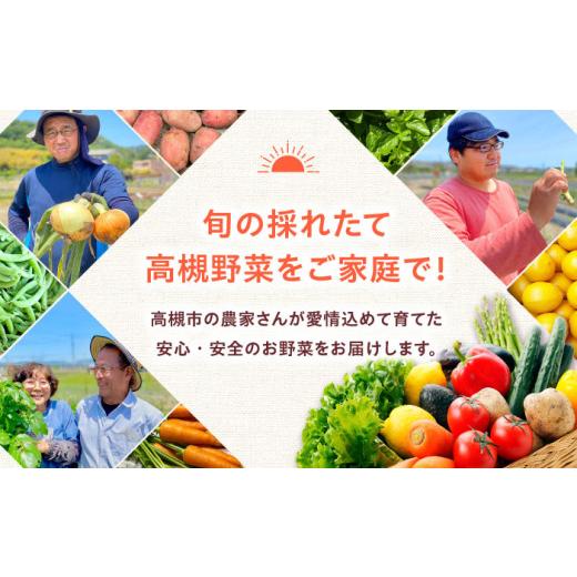 ふるさと納税 セット・詰合せ 大阪府 高槻市  2月発送 厳選 旬を味わう高槻野菜おまかせ詰め合わせセット 2月（10種〜15種）　大阪府高槻市／高槻あぐり AOCS0…_9