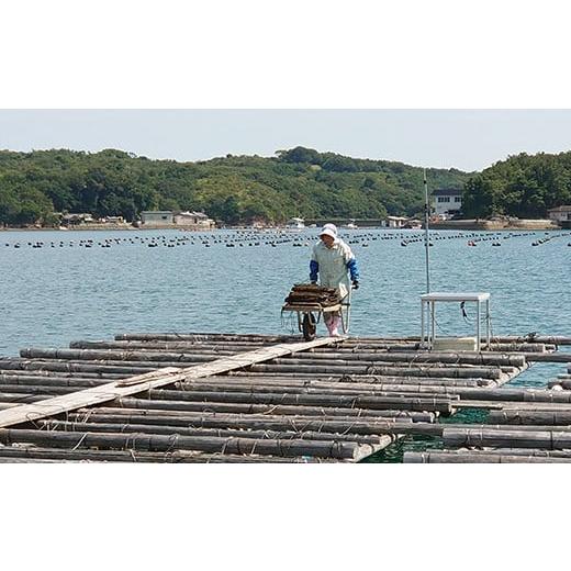 ふるさと納税 ネックレス 三重県 志摩市 真珠 パール アクセサリー ネックレス 伊勢志摩 志摩 三重県 ギフト 母の日 ホワイトデー クリスマス 入学式 卒業式 …の画像