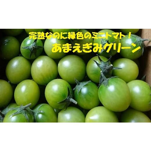 ふるさと納税 トマト ミニトマト 愛知県 豊橋市 今が旬 フルーツとまと あまえぎみ 約1kg グリーン とまと ミニトマト プチトマト フルーツトマト 1キロ サラ…