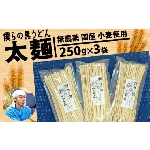 ふるさと納税 埼玉県 羽生市 [太麺]黒うどん 250g 3袋 750g 乾麺 無農薬 麦 国産 小麦粉 うどん 麺 僕らの黒うどん 僕らの集会所 埼玉県 羽生市