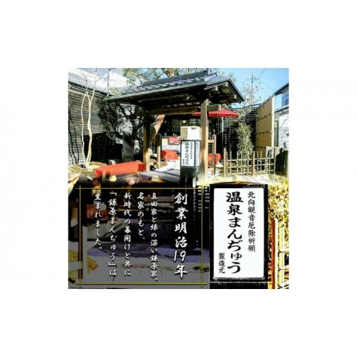 ふるさと納税 長野県 上田市 厄除招福まんぢゅう 12個入　饅頭 まんじゅう 和菓子 別所温泉 おかし お土産 名物 上田市 長野 [No.5312-0737]｜furusatochoice｜09