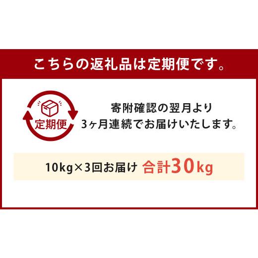 ふるさと納税 熊本県 人吉市 【定期便3回】人吉球磨産 森のくまさん 10kg 合計30kg｜furusatochoice｜03