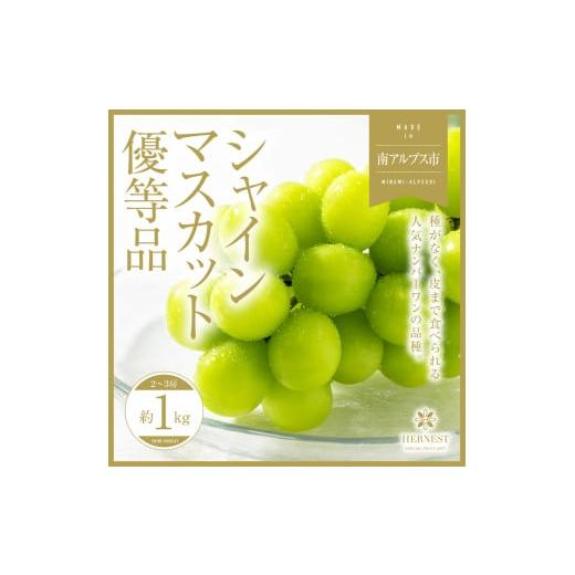 ふるさと納税 ぶどう マスカット 山梨県 南アルプス市 2026年発送分先行予約 山梨県南アルプス市産シャインマスカット 優等品 約1kg 2〜3房 AL