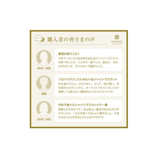 ふるさと納税 ぶどう マスカット 山梨県 南アルプス市  2026年発送分先行予約 山梨県南アルプス市産シャインマスカット　優等品　約1ｋｇ　2〜3房 ALPAH008_4