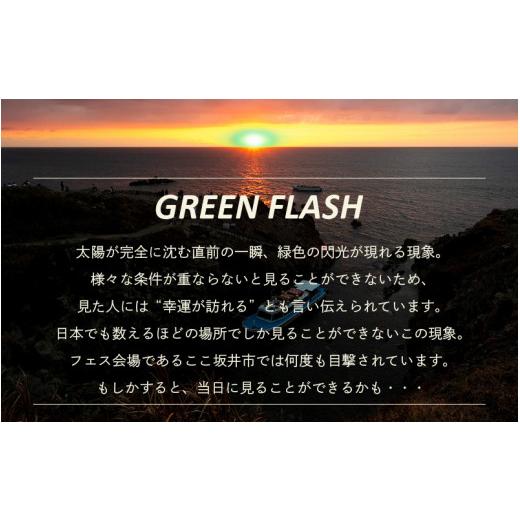 ふるさと納税 フェス・コンサート 福井県 坂井市 GREEN FLASH Fes 2026 -in SHIBAMASA- 入場チケット（大人１名） 5月30日(土)開催 フェス当日芝政アトラクシ…の画像