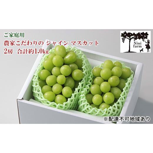 流行販売 ふるさと納税 岡山県 岡山市 ぶどう 2024年 先行予約 ご家庭用 農家こだわりの シャイン マスカット 2房 合計約1.0kg ブドウ 葡萄 岡山市産 国産 フルーツ 果…