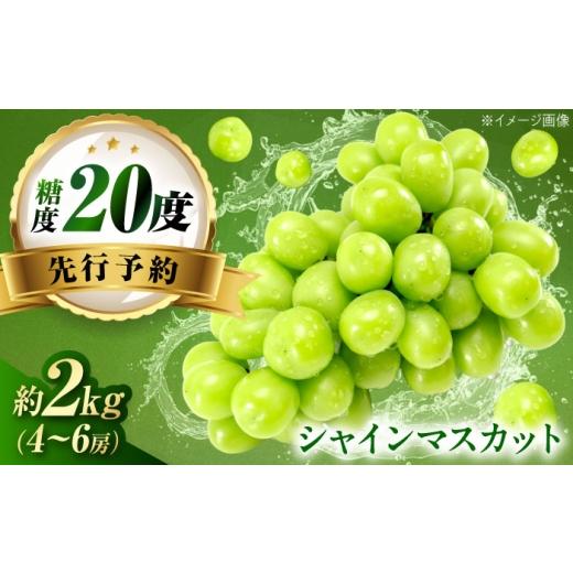 ふるさと納税 ぶどう マスカット 愛媛県 内子町 先行予約 シャインマスカット 約2kg1箱(4房〜6房)/ シャインマスカット マスカット ますかっと ぶどう ブ…