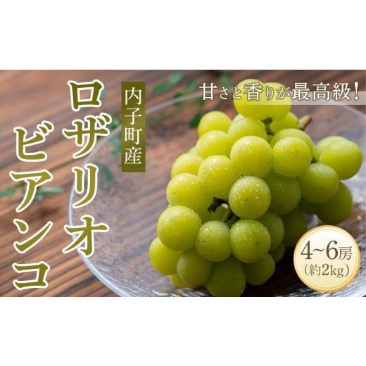 ふるさと納税 ぶどう 愛媛県 内子町 先行予約 ロザリオ・ビアンコ 約2kg1箱(4房〜) ブドウ マスカット 葡萄 先行予約 葡萄 マスカット ロザリオ・ビアンコ …