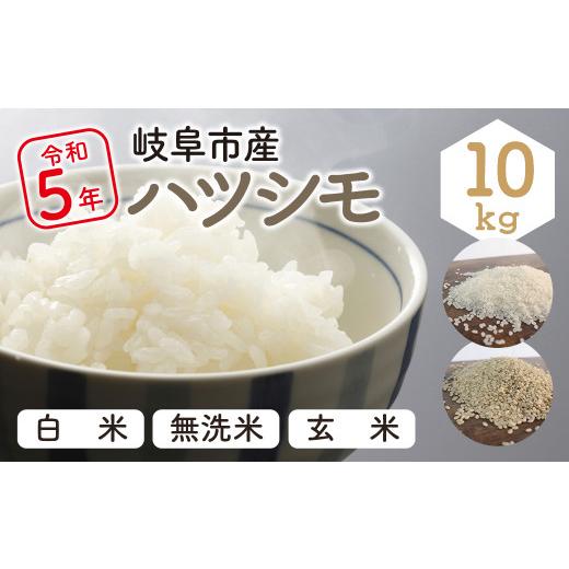 ハツシモ 米 精米 白米 令和7年産 ごはん こめ お米 5kg 岐阜県産