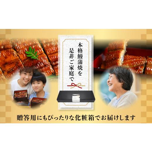 ふるさと納税 宮崎県 宮崎市 宮崎県宮崎市産　うなぎの蒲焼　約700g（約140g×5尾）タレ・山椒セット_M325-004｜furusatochoice｜08