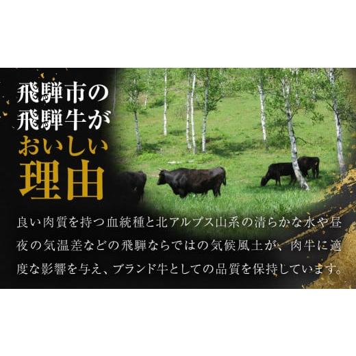 ふるさと納税 牛肉 バラ(カルビ) 岐阜県 飛騨市 ＼100品以上から選べる／飛騨牛オンラインカタログ 80万円 | 有効期限なし 後からゆっくり選べるオンラインカ…_4
