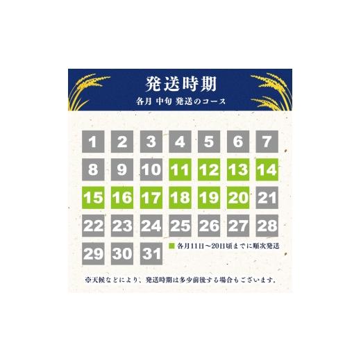 ふるさと納税 米 はえぬき 山形県 寒河江市 2026年10月中旬より隔月3回 令和8年産 定期便 はえぬき計30kg お米 定期便（10kg×3回） 清流寒河江川育ち 山形産…