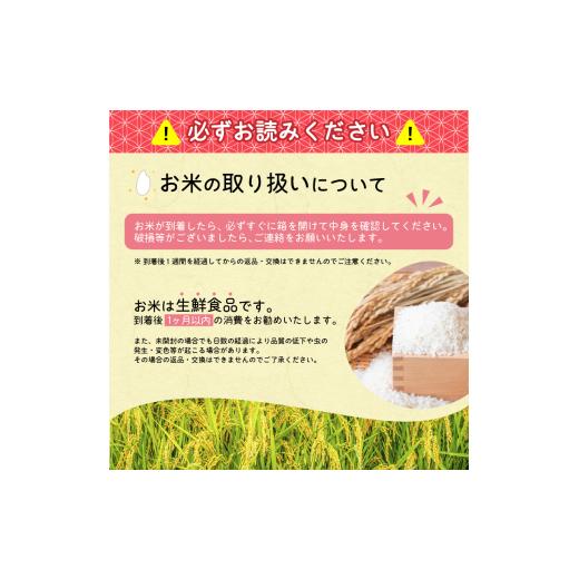 ふるさと納税 米 はえぬき 山形県 寒河江市 2026年10月中旬より隔月3回 令和8年産 定期便 はえぬき計30kg お米 定期便（10kg×3回） 清流寒河江川育ち 山形産…