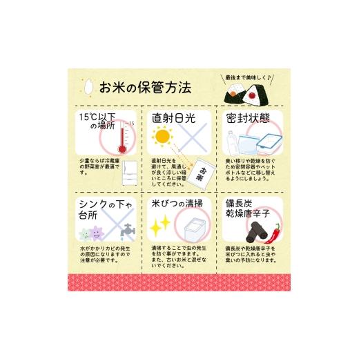 ふるさと納税 米 はえぬき 山形県 寒河江市 2026年10月中旬より隔月3回 令和8年産 定期便 はえぬき計30kg お米 定期便（10kg×3回） 清流寒河江川育ち 山形産…