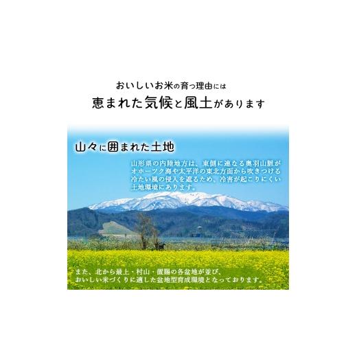 ふるさと納税 米 はえぬき 山形県 寒河江市 2026年10月中旬より隔月3回 令和8年産 定期便 はえぬき計30kg お米 定期便（10kg×3回） 清流寒河江川育ち 山形産…