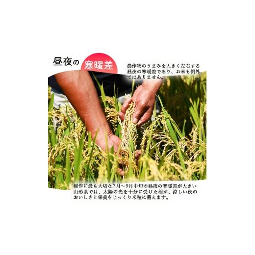 ふるさと納税 米 はえぬき 山形県 寒河江市 2026年10月中旬より隔月3回 令和8年産 定期便 はえぬき計30kg お米 定期便（10kg×3回） 清流寒河江川育ち 山形産…