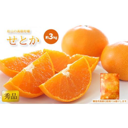 ふるさと納税 みかん・柑橘類 愛媛県 松山市 2月中旬から発送 せとか 秀品 約3kg 贈答用高級化粧箱入り | みかん せとか 柑橘 みかん 3kg 化粧箱入りみかん …