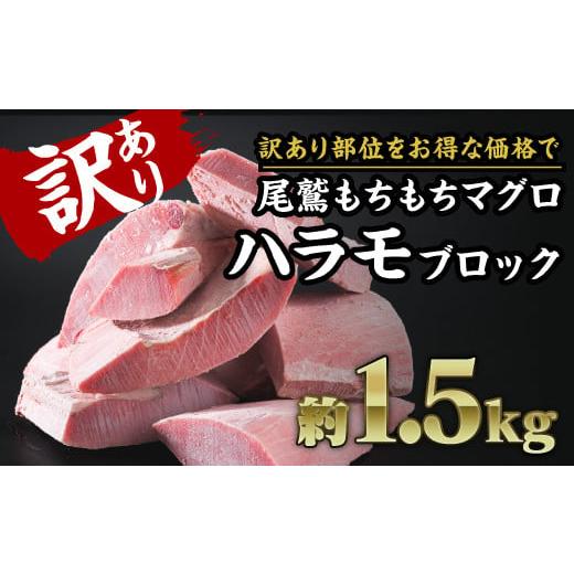 ふるさと納税 マグロ 三重県 尾鷲市 訳あり 尾鷲もちもちキハダマグロ ハラモ詰め合わせ 大満足 1.5kg ブロック 冷凍 天然マグロ きはだまぐろ キハダマグロ …
