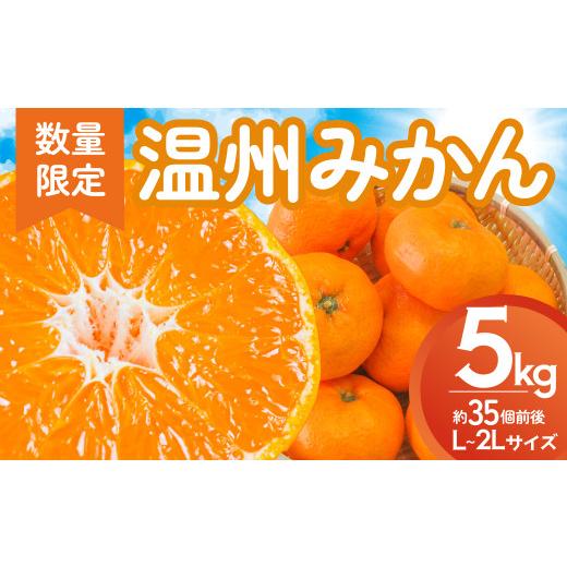 ふるさと納税 果物類 みかん 三重県 多気町 多気町産 温州みかん 5kg L〜2Lサイズ 約35個前後 蜜柑 みかん ミカン 柑橘類 柑橘 フルーツ 果物 くだもの 人気 …