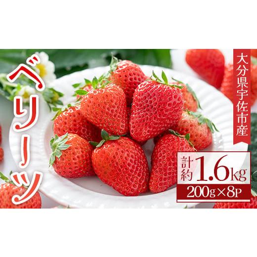 ふるさと納税 大分県 宇佐市 [先行予約受付中!2025年1月上旬〜4月下旬の間に発送予定]いちご(計約1.6kg・200g×8P)苺 イチゴ フルーツ 果物 くだもの 果実 …