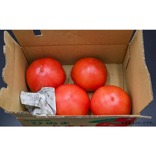 ふるさと納税 野菜類 トマト 茨城県 茨城町 484 訳あり 茨城町産トマト 約2kg JA水戸_6