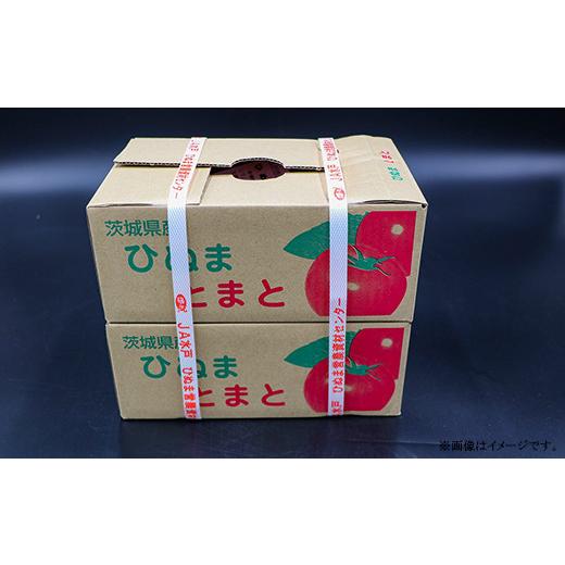 ふるさと納税 野菜類 トマト 茨城県 茨城町 484 訳あり 茨城町産トマト 約2kg JA水戸_4
