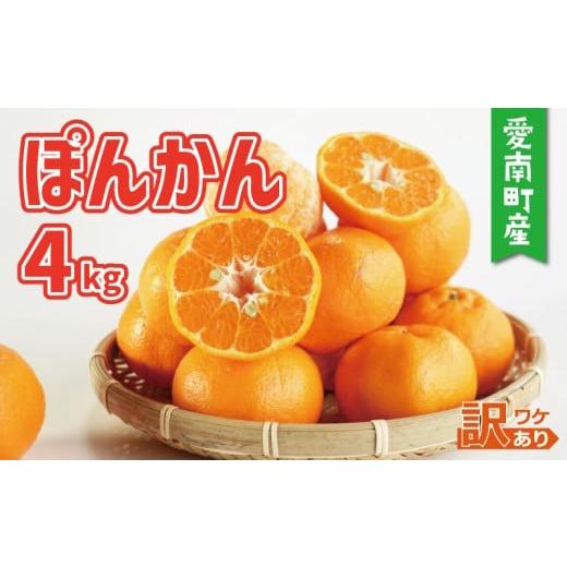 ふるさと納税 みかん・柑橘類 愛媛県 愛南町 訳あり ポンカン 4kg 7000円 みかん mikan 蜜柑 ミカン ぽんかん 産地直送 国産 農家直送 糖度 期間限定 数量限定…