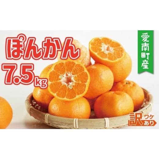 ふるさと納税 みかん・柑橘類 愛媛県 愛南町 訳あり ポンカン 7.5kg 10000円 みかん mikan 蜜柑 ミカン ぽんかん 産地直送 国産 農家直送 糖度 期間限定 数量…
