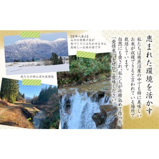 ふるさと納税 無洗米 新潟県 南魚沼市 生産者直送 定期便６ヶ月 令和8年産　新米予約 南魚沼産こしひかり 無洗米2kg×全6回　合計1２kg　オグライスファーム …_5