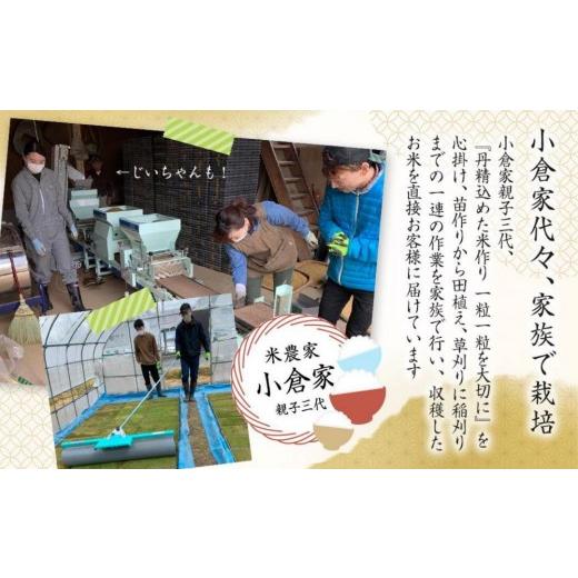 ふるさと納税 無洗米 新潟県 南魚沼市 生産者直送 定期便６ヶ月 令和8年産　新米予約 南魚沼産こしひかり 無洗米2kg×全6回　合計1２kg　オグライスファーム …_6