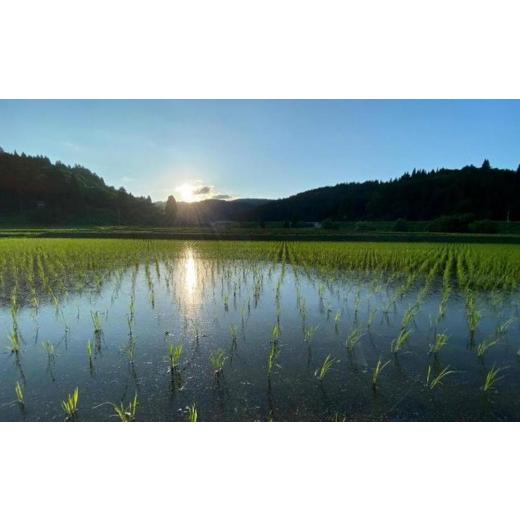 ふるさと納税 無洗米 新潟県 南魚沼市 生産者直送 定期便６ヶ月 令和8年産　新米予約 南魚沼産こしひかり 無洗米2kg×全6回　合計1２kg　オグライスファーム …_8