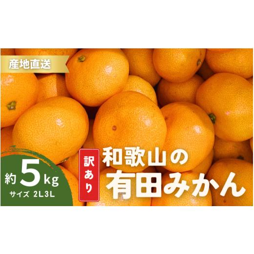 ふるさと納税 果物類 みかん 和歌山県 すさみ町 家庭用 有田みかん 和歌山 訳あり わけあり 大玉(2L,3Lサイズ混合) 4.5kg 11月上旬〜1月下旬頃に順次発送 / …