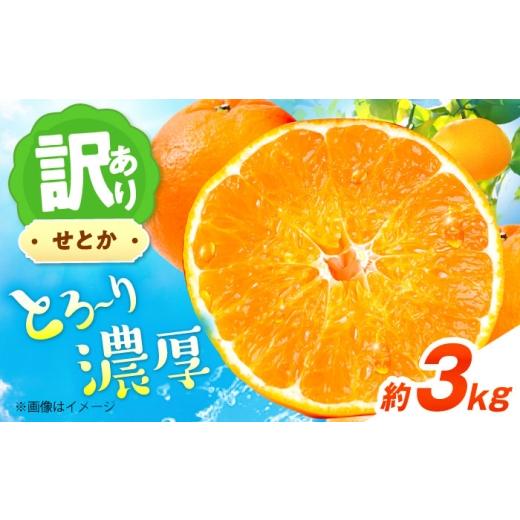 ふるさと納税 果物類 みかん 愛媛県 砥部町 みかん 訳あり せとか 約3kg サイズ不揃い 2月下旬から3月下旬まで順次発送 / フルーツ 果物 蜜柑 ミカン オレン…