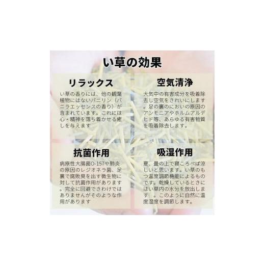 ふるさと納税 家具 インテリア・寝具・収納 福岡県 大川市 国産い草 掛川織ラグ 清流 ブルー 191×191_4