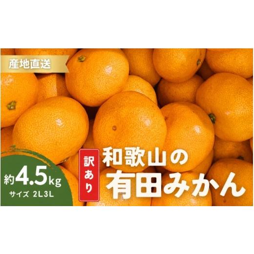 ふるさと納税 果物類 みかん 和歌山県 北山村 家庭用 有田みかん 和歌山 訳あり わけあり 大玉(2L,3Lサイズ混合) 約4.5kg 11月上旬〜1月下旬頃に順次発送 / …