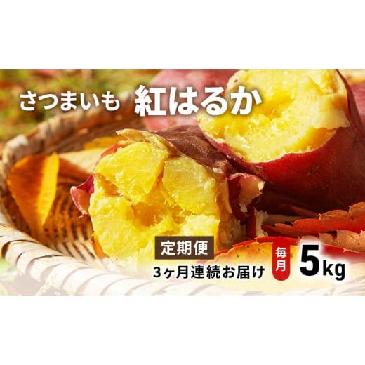 ふるさと納税 野菜類 サツマイモ 千葉県 成田市   さつま芋(紅はるか)5kg 定期便3ヵ月 さつまいも 野菜 サツマイモ