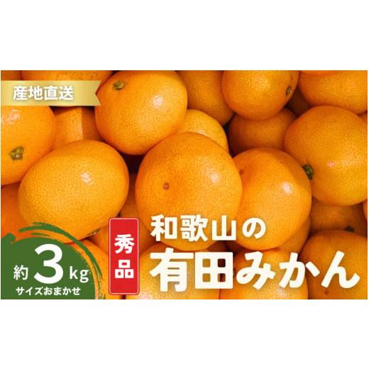 ふるさと納税 果物類 みかん 和歌山県 串本町 1月発送 秀品 有田みかん 和歌山県産 S〜Lサイズ 大きさお任せ 3kg / みかん フルーツ 果物 くだもの 有田みか…