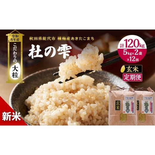 ふるさと納税 米 あきたこまち 秋田県 能代市 新米 先行予約 令和8年産 玄米 定期便12ヶ月 秋田県産 あきたこまち 10kg(5kg×2)×12回 計120kg「杜の雫」こだ…