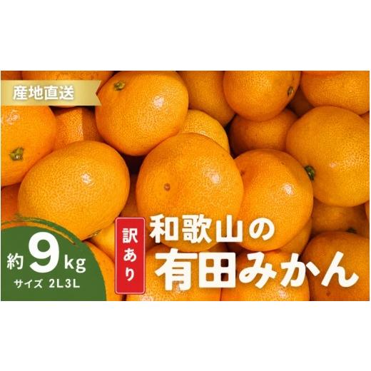 ふるさと納税 果物類 みかん 和歌山県 太地町 家庭用 有田みかん 和歌山 訳あり わけあり 大玉(2L,3Lサイズ混合) 約9kg 11月上旬〜1月下旬頃に順次発送 / み…
