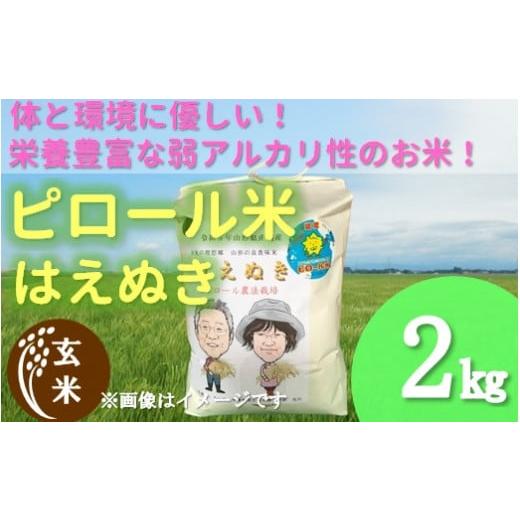 ふるさと納税 山形県 三川町 [令和5年産・玄米]九代目又七のピロール農法米はえぬき2kg 令和5年産