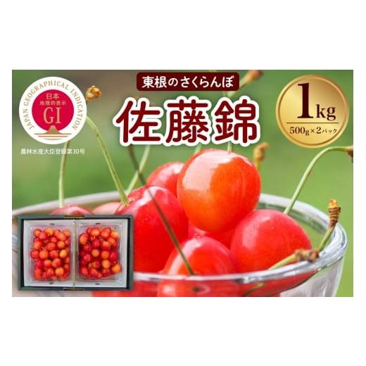 ふるさと納税 果物類 さくらんぼ 山形県 東根市 2026年産 先行予約 山形東根市産 GI さくらんぼ「佐藤錦」1kg 滝口観光果樹園提供 hi030-042