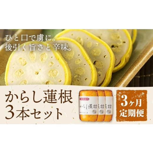 ふるさと納税 人参・大根・他根菜 熊本県 菊池市 3ヶ月定期便 からし蓮根 セット 約280g×3本 辛子蓮根 カラシ 廣田蒲鉾店[お申込み翌月から出荷予定]揚げ…
